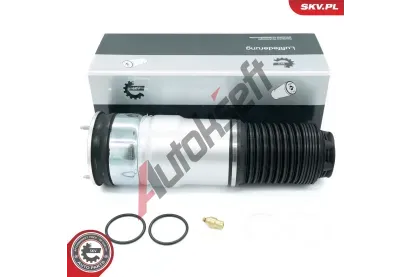 ESEN SKV Vzduchov pruina podvozku ESN 58SKV078, 58SKV078