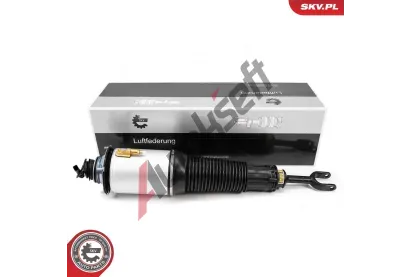ESEN SKV Vzduchov vzpra ESN 58SKV701, 58SKV701