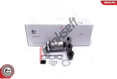 ESEN SKV Katalyztor ESN 62SKV007, 62SKV007