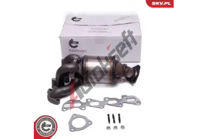 ESEN SKV Katalyzátor ESN 62SKV021, 62SKV021 ESEN SKV Katalyzátor ESN 62SKV021, 62SKV021