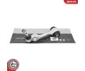 Rameno zaven kol ESEN SKV ‐ ESN 69SKV447