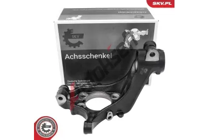 ESEN SKV Čep nápravy zavěšení kol ESN 73SKV242, 73SKV242 ESEN SKV Čep nápravy zavěšení kol ESN 73SKV242, 73SKV242