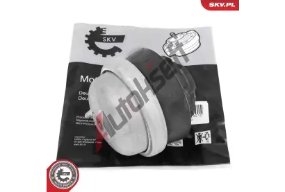 ESEN SKV Zaven motoru ESN 75SKV003, 75SKV003