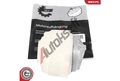 ESEN SKV Zav�en� motoru ESN 75SKV006, 75SKV006