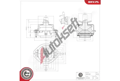 ESEN SKV Zaven motoru ESN 75SKV125, 75SKV125