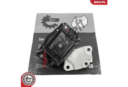 ESEN SKV Zav�en� motoru ESN 75SKV289, 75SKV289