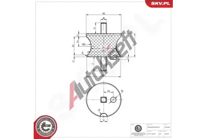ESEN SKV Ulo�en� automatick� p�evodovky ESN 75SKV804, 75SKV804