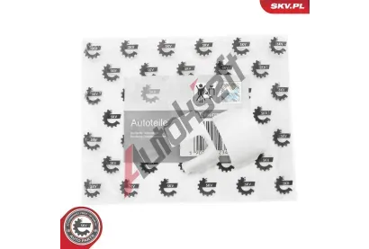 ESEN SKV Sada na opravu adic pky ESN 96SKV281, 96SKV281