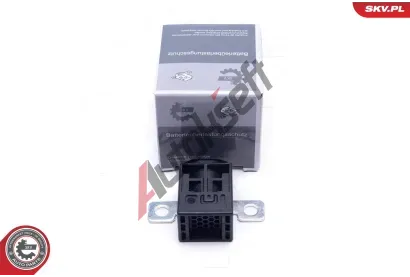 ESEN SKV Ochrann zazen proti pept - alterntor ESN 96SKV318, 96SKV318