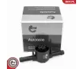 Ventil palivovho filtru ESEN SKV ‐ ESN 96SKV410