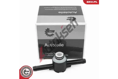 ESEN SKV Ventil palivového filtru ESN 96SKV413, 96SKV413 ESEN SKV Ventil palivového filtru ESN 96SKV413, 96SKV413