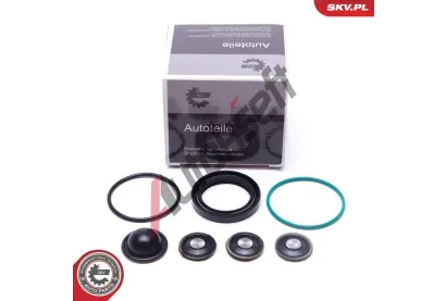ESEN SKV Sada na opravu palivov�ho �erpadla ESN 96SKV933, 96SKV933