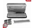 Sada oblo�en� ped�lu&nbsp;ESEN SKV&nbsp;&dash;&nbsp;ESN 97SKV826