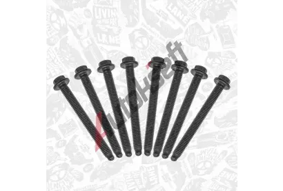 ET ENGINETEAM Sada �roub� v�ka hlavy v�lce ETE BS0059, BS0059