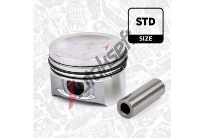 ET ENGINETEAM Pst ETE PM005000, PM005000