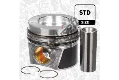 ET ENGINETEAM Pst ETE PM014300, PM014300