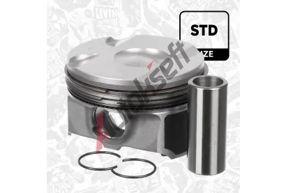 ET ENGINETEAM Pst ETE PM015000, PM015000