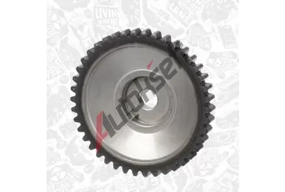 ET ENGINETEAM Ozubené kolo vačkového hřídele ETE RG0032, RG0032 ET ENGINETEAM Ozubené kolo vačkového hřídele ETE RG0032, RG0032