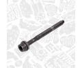 ET ENGINETEAM Sada t�sn�n� hlavy v�lce ETE TS0038BT, TS0038BT