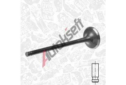 ET ENGINETEAM V�fukov� ventil ETE VE0171, VE0171