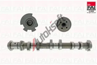FAI AutoParts Vačkový hřídel FAI C545, C545 FAI AutoParts Vačkový hřídel FAI C545, C545