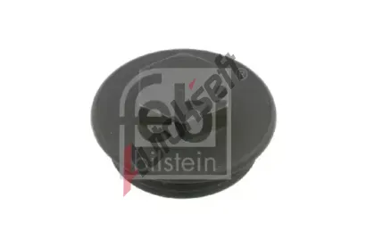 FEBI Uzávěr kotouče - čep nápravy FB 05880, 05880 FEBI Uzávěr kotouče - čep nápravy FB 05880, 05880