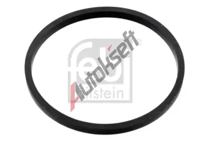 FEBI Tsnn termostatu FB 100055, 100055