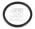 Tsnn termostatu FEBI ‐ FB 10255