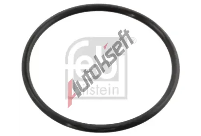 FEBI Tsnn - termostat FB 10258, 10258