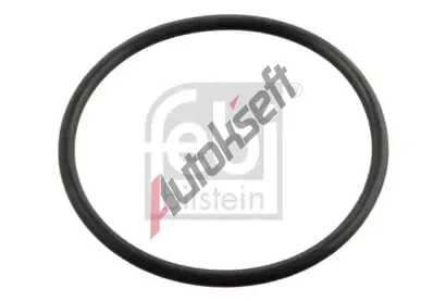 FEBI Tsnn - termostat FB 11443, 11443