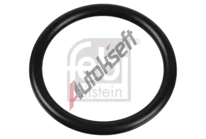 FEBI Tsnn termostatu FB 174322, 174322