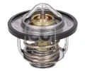 Termostat chladiva&nbsp;FEBI&nbsp;&dash;&nbsp;FB 179755