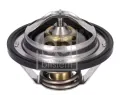 Termostat chladiva&nbsp;FEBI&nbsp;&dash;&nbsp;FB 196060