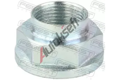 FEBEST Matice hnac poloosy FBS 0598-NHUB01, 0598-NHUB01
