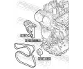 FEBEST Napnk drkovho klnovho emenu FBS 2190-M8MA, 2190-M8MA