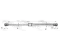 FEBEST Pneumatick vzpra kapoty motoru FBS 23117-004, 23117-004