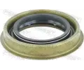 Tsnic krouek hdele diferencilu FEBEST ‐ FBS 95GDW-38580913C