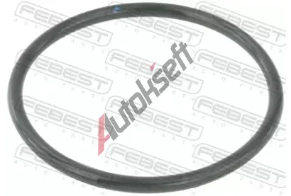 FEBEST Tsnn, hrdlo krtc klapky FBS RINGAH-010, RINGAH-010