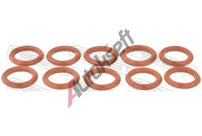 FEBEST Sada tsnn - AGR systm FBS RINGAH-033-PCS10, RINGAH-033-PCS10