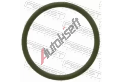 FEBEST Tsnn veden AGR ventilu FBS RINGAH-B5, RINGAH-B5