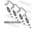 FEBEST Těsnicí kroužek vstřikování FBS RINGFL-025-PCS10, RINGFL-025-PCS10