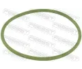 Tsnn snmae paliva FEBEST ‐ FBS RINGFL-037