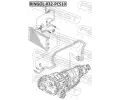 FEBEST Tsnic krouek chladie oleje FBS RINGOL-032-PCS10, RINGOL-032-PCS10