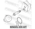 FEBEST Tsnn olejovho filtru FBS RINGOL-039-KIT, RINGOL-039-KIT