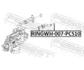 FEBEST Tsnn pruby chladiva FBS RINGWH-007-PCS10, RINGWH-007-PCS10