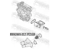 FEBEST Tsnn pruby chladiva FBS RINGWH-017-PCS10, RINGWH-017-PCS10