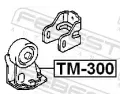 FEBEST Zaven motoru FBS TM-300, TM-300