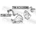 FEBEST Uložení diferenciálu FBS TM-ACA20DM, TM-ACA20DM