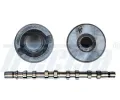 Vakov hdel FRECCIA ‐ FCC CM05-2184