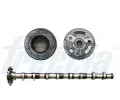 Vakov hdel FRECCIA ‐ FCC CM05-2187